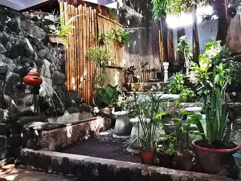 Balay De La Rama Bed & Breakfast Legazpi Exterior photo
